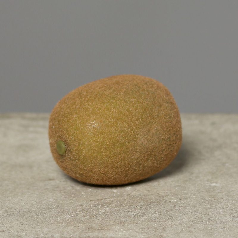 Deko Kiwi 7