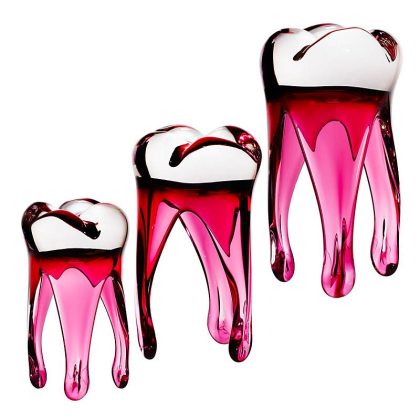 Glaszahn Trophäe 14cm transparent