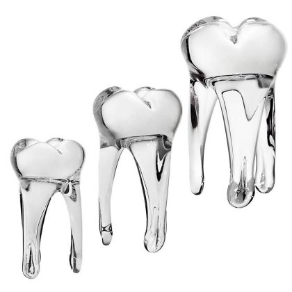 Glaszahn Trophäe 14cm weiß