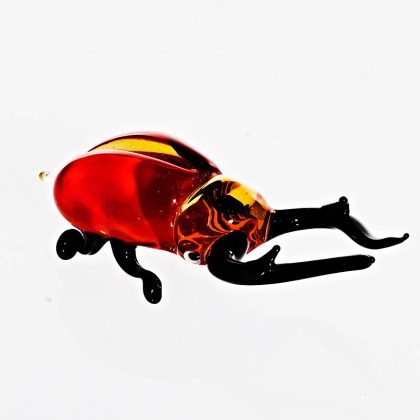 Hirschkäfer ''Medium'' (6-15cm)