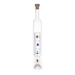 Geschenkflasche Früchte Flasche mit Gläsern 375ml leer