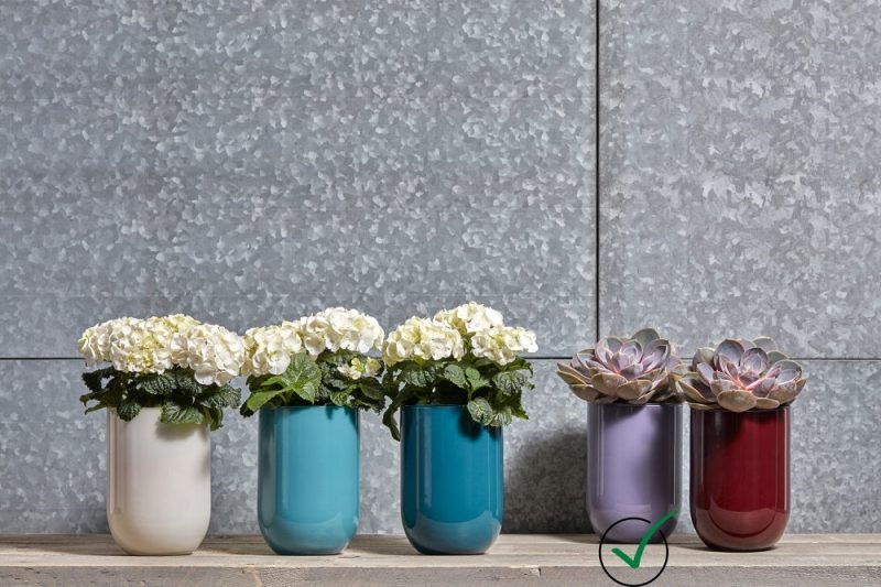 Glasvase Blumengefäß Tischdekoration Emilia H 20 cm Rot
