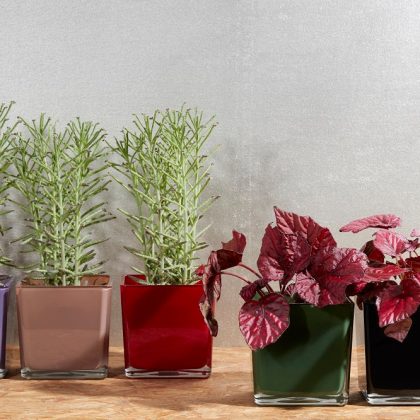 Blumenübertopf Glaswürfel Tischdekoration H 14cm Grün