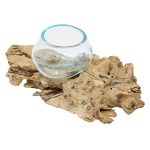 Glasschale Teakholz Wurzel handgefertigt Dekoration Unikat Glas 10cm